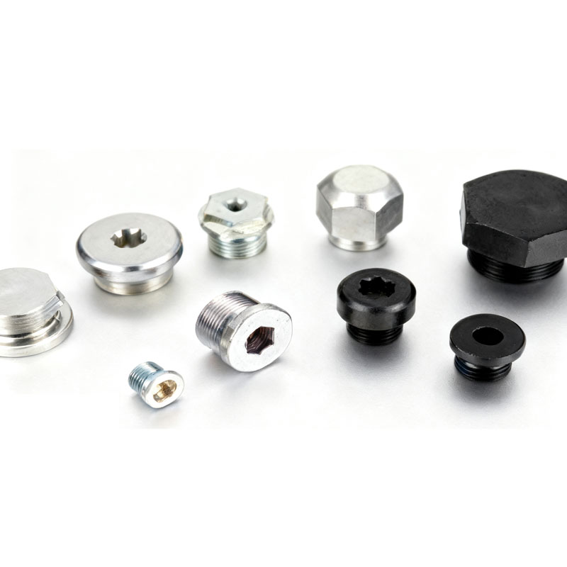 स्टेनलेस स्टील फ्लँज प्लग